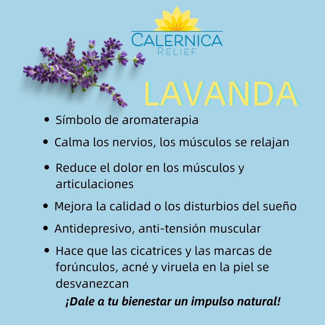 Calernica Relief - Lavanda