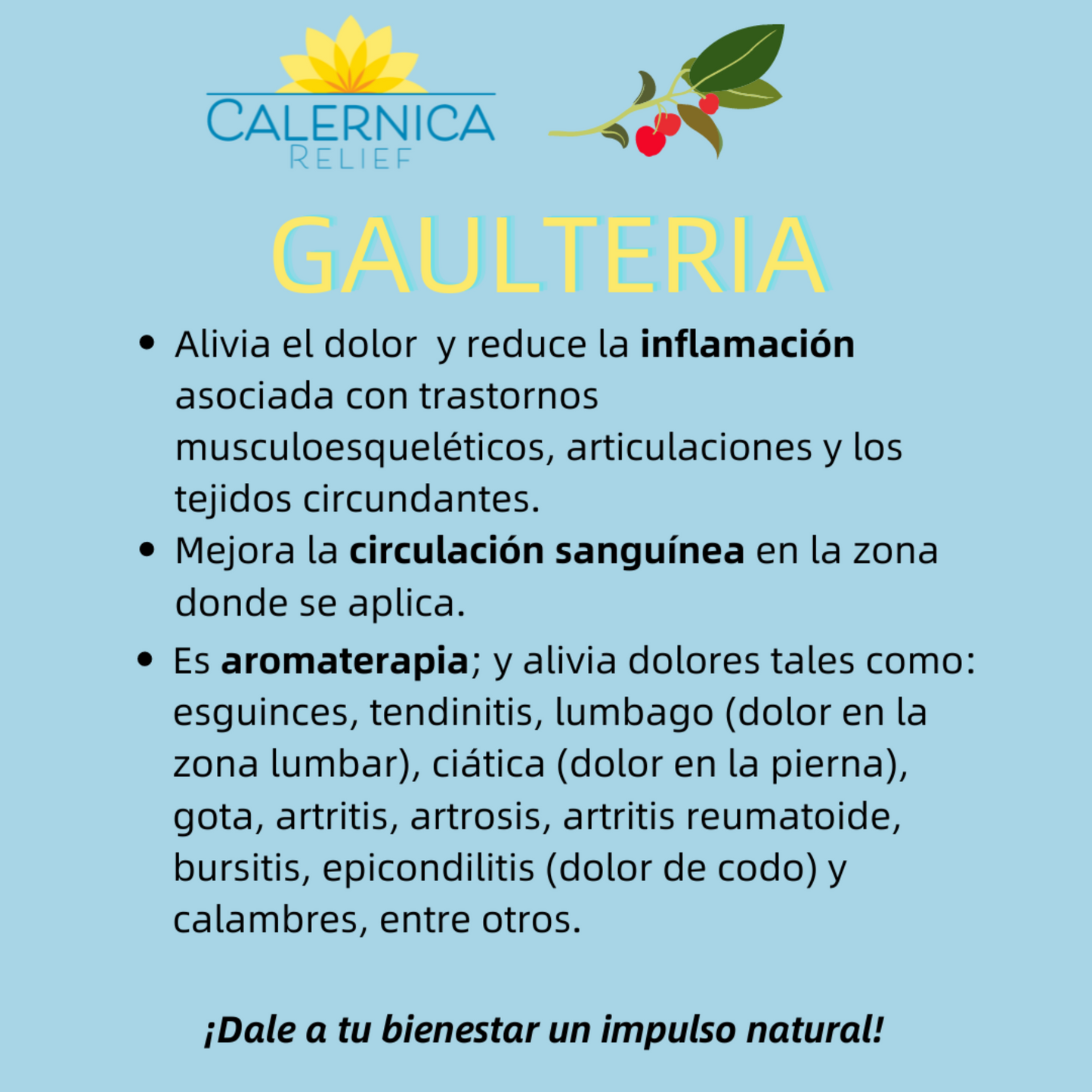 Calernica Relief - Gaulteria